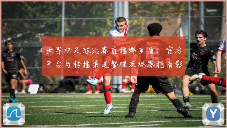 世界杯足球比赛直播哪里看：官方平台与转播渠道整理及观赛指南影响